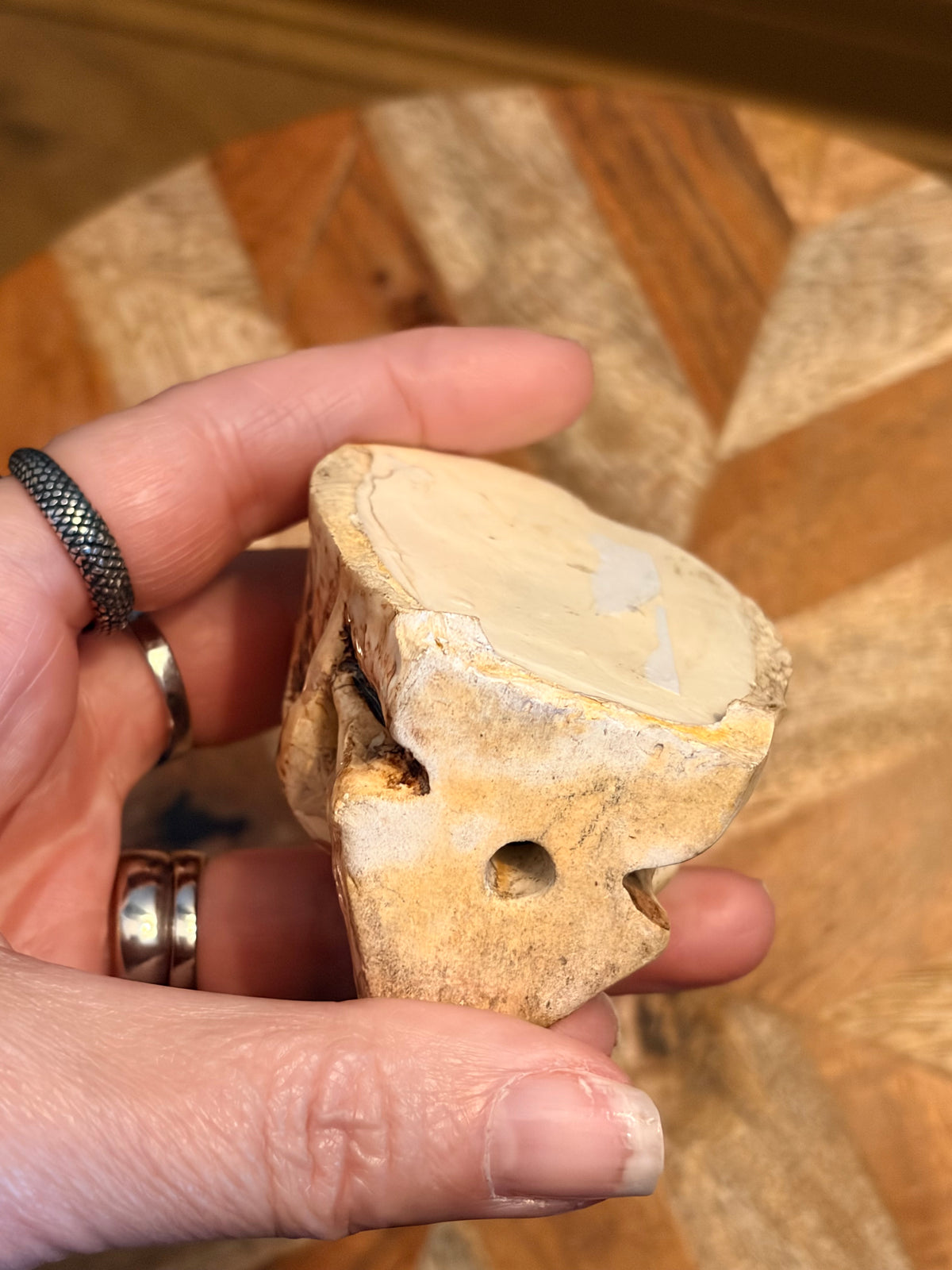 Antique Glazed Ceramic Skull Curio