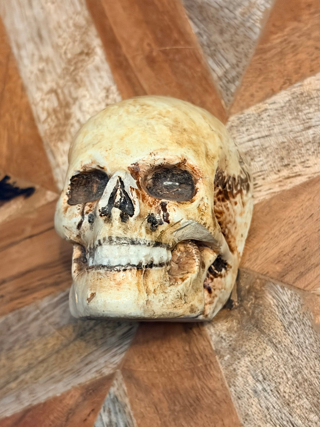 Antique Glazed Ceramic Skull Curio