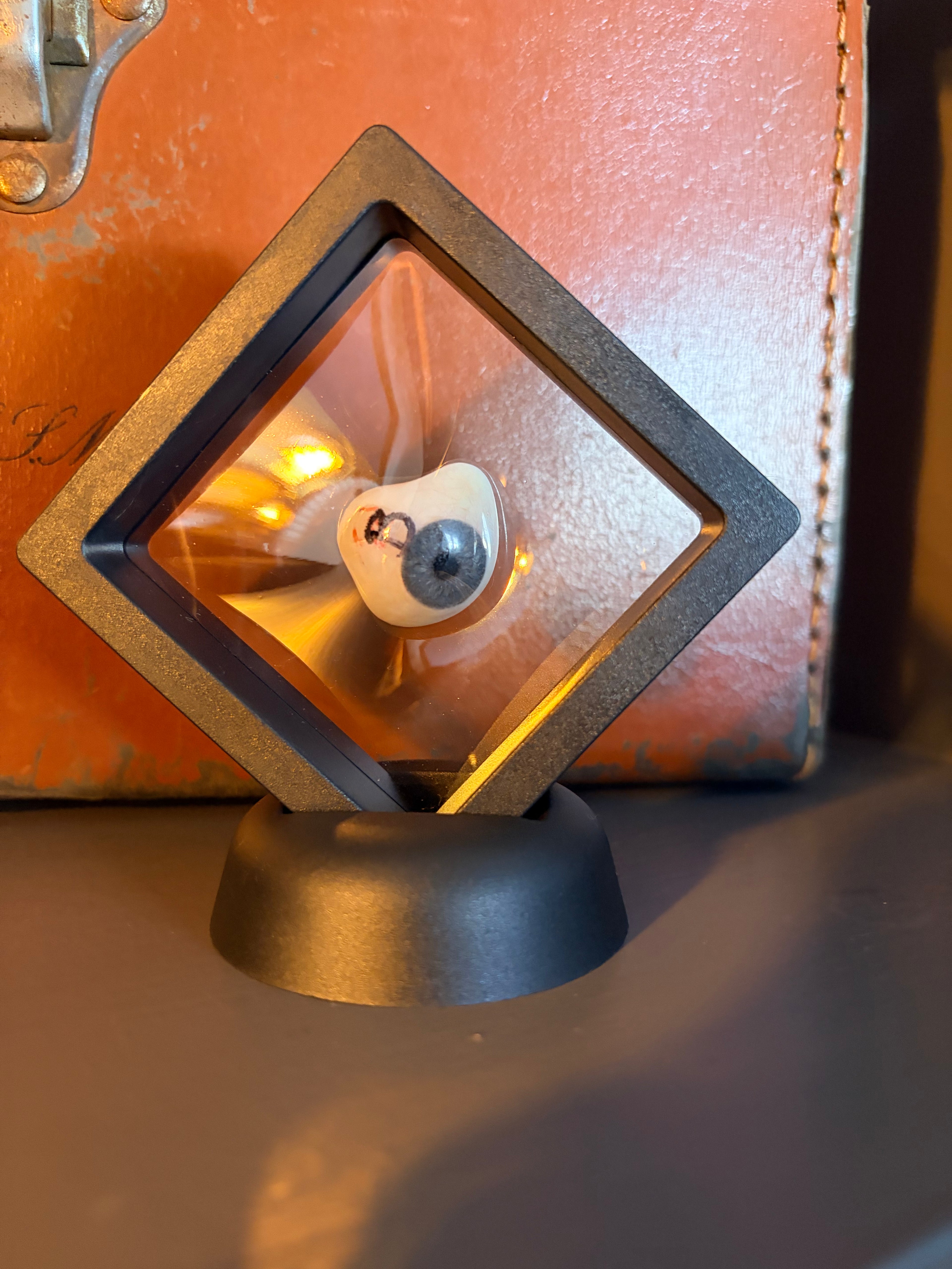 Vintage Prosthetic Human Eye