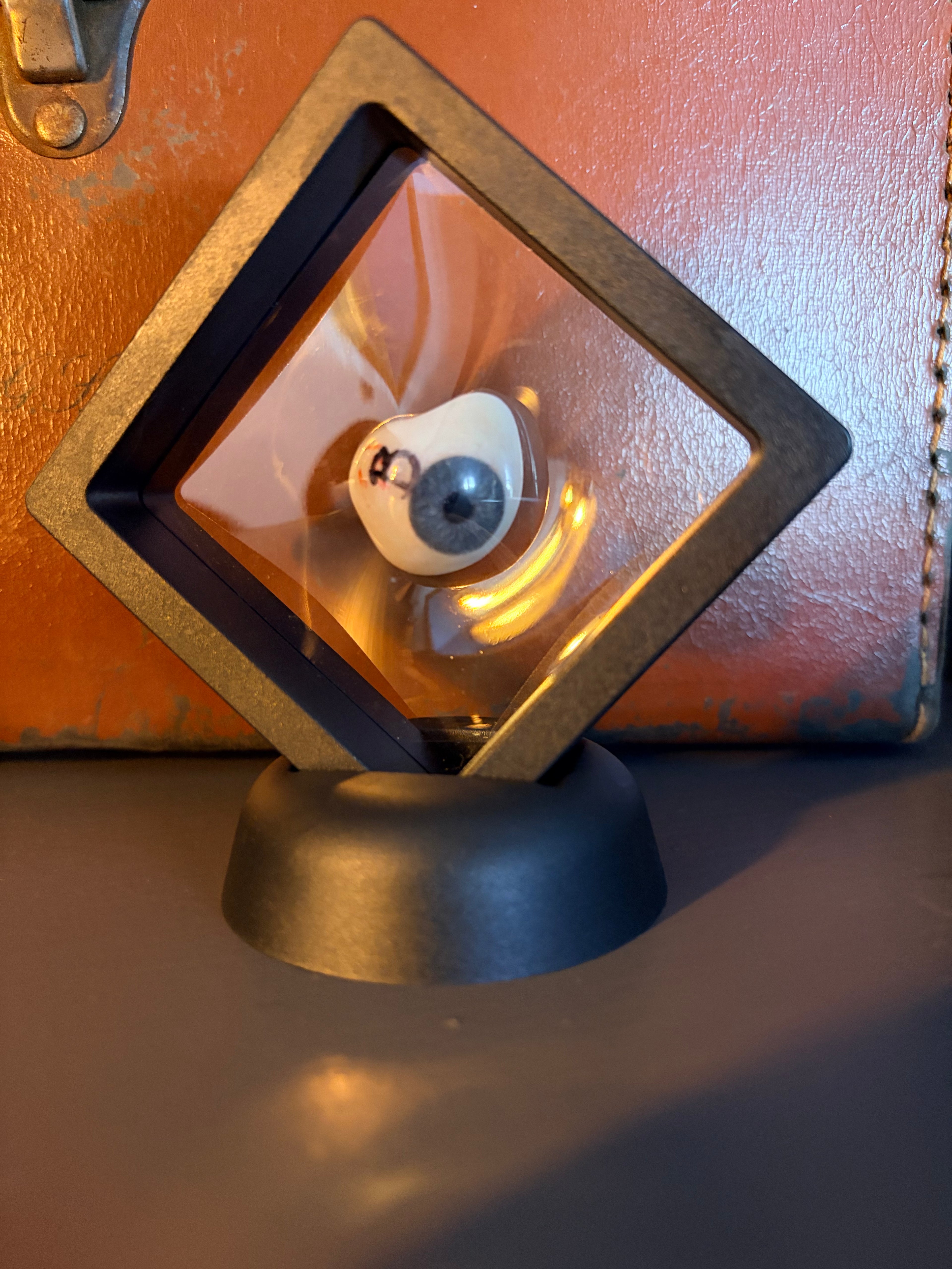 Vintage Prosthetic Human Eye