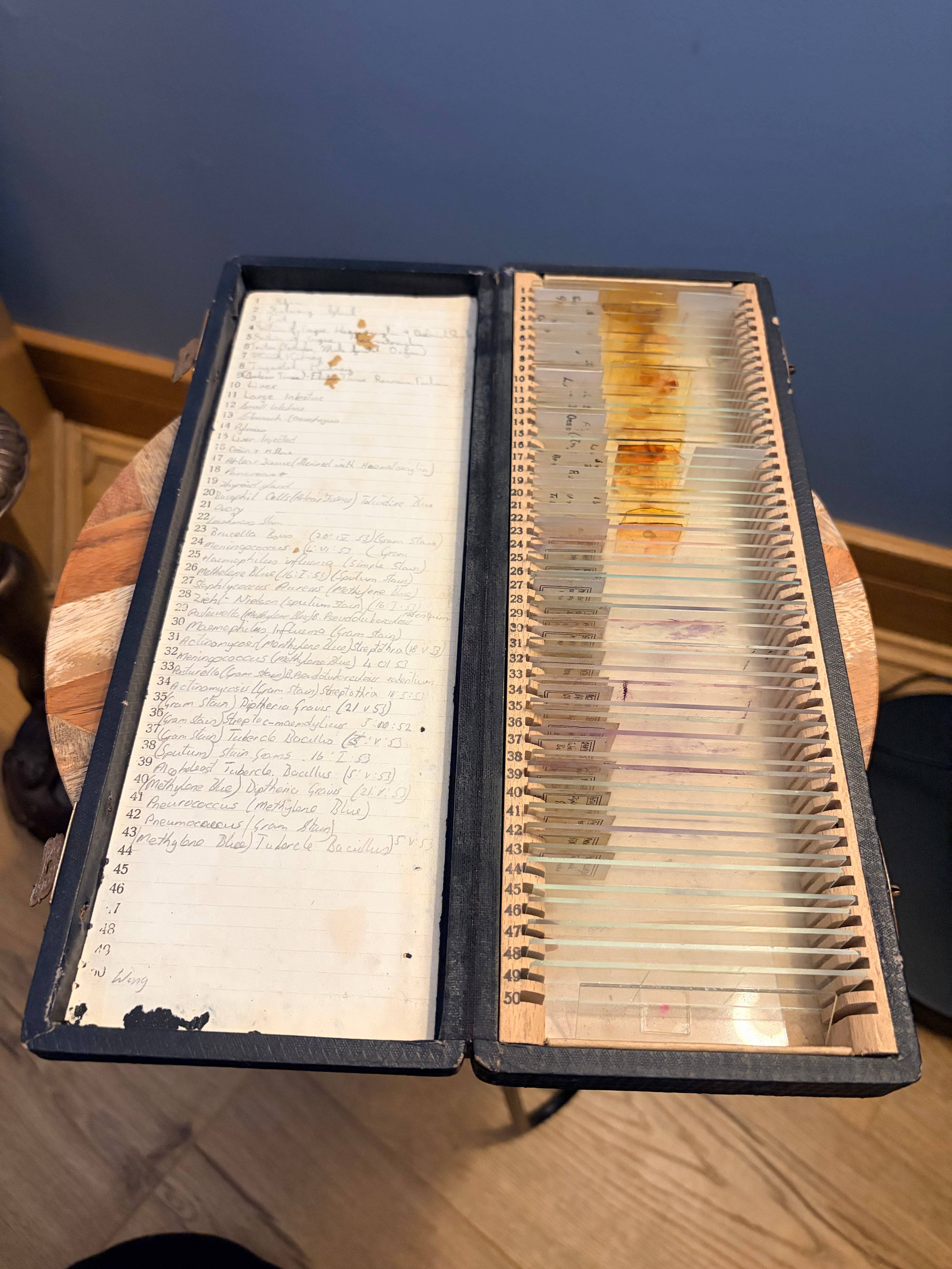 Antique Microscope Preparations - pathology slides