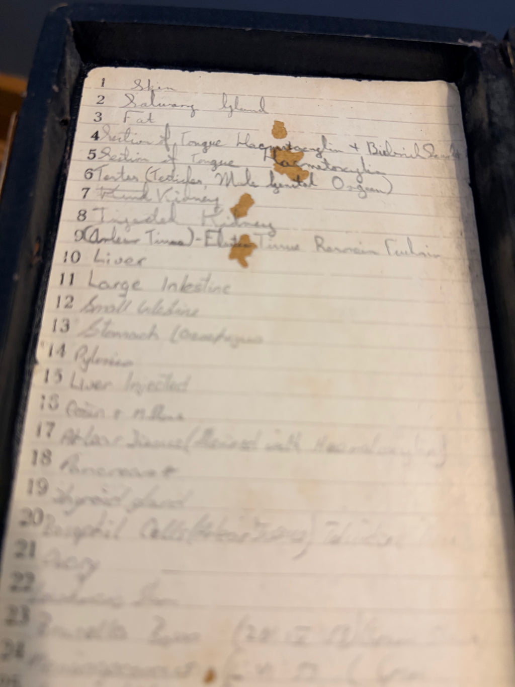 Antique Microscope Preparations - pathology slides