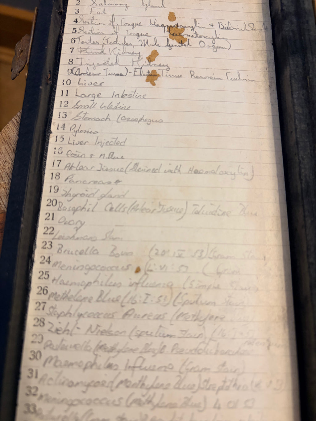Antique Microscope Preparations - pathology slides