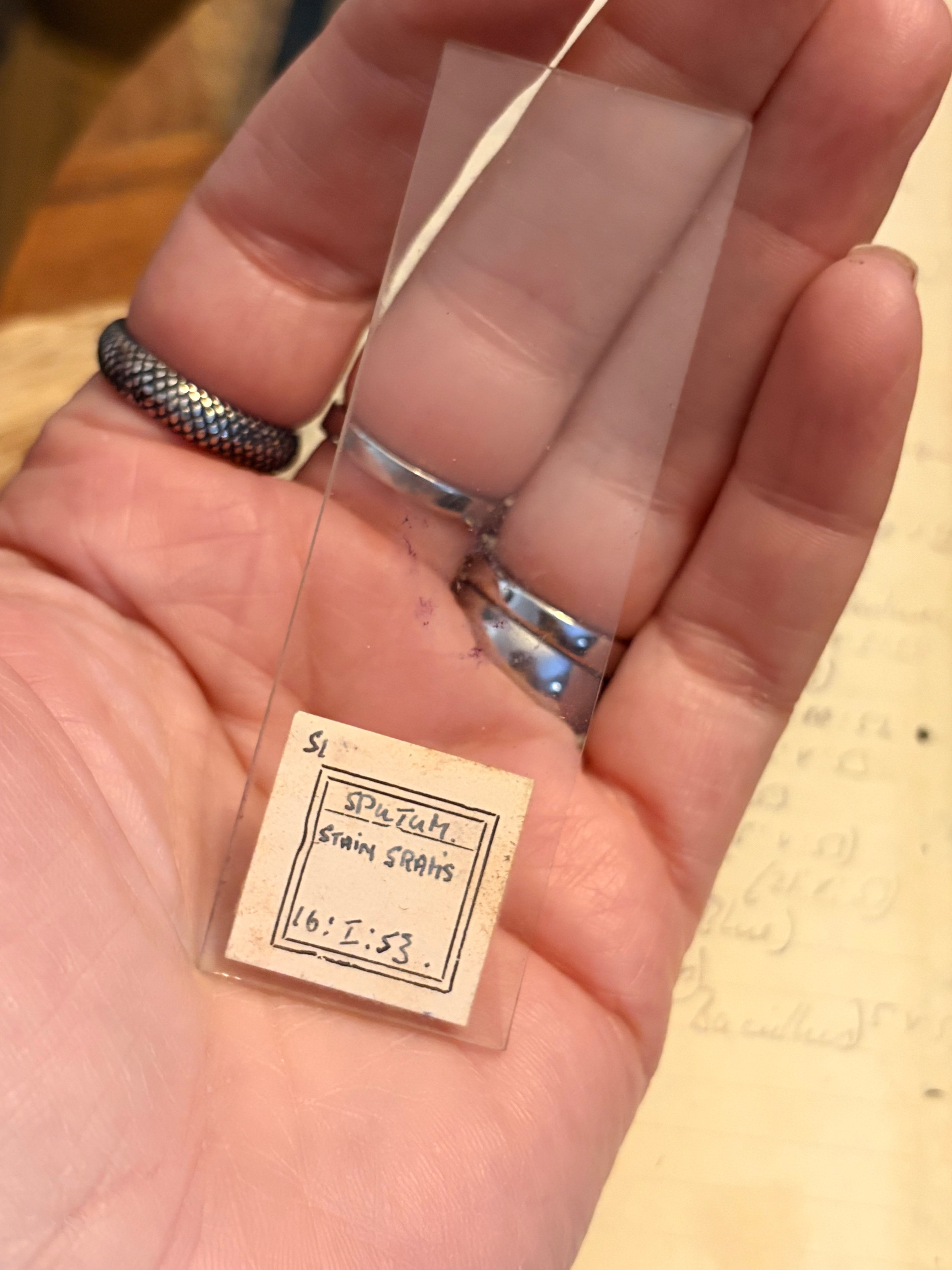 Antique Microscope Preparations - pathology slides